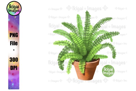 Download Fern, Potted Plant, Greenery, PNG File - Premium Resources